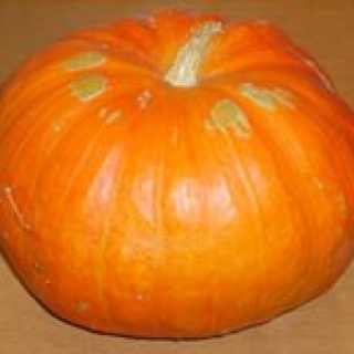 Kirill Maevski photo