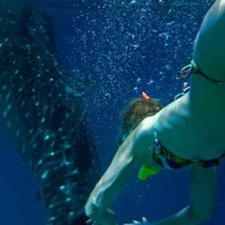 Инна Дубова photo