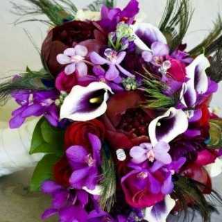 Nigar Hasanova photo