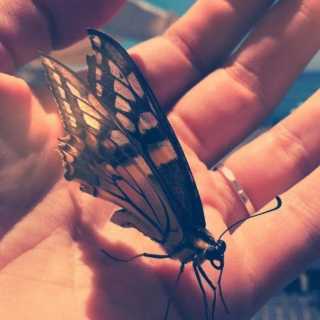 Katya Zhemerova photo