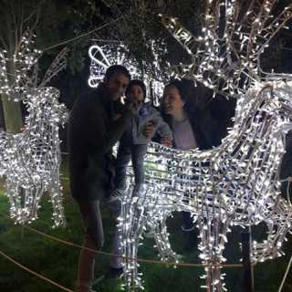 Eleonora Coppola photo