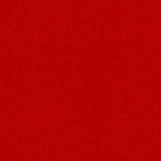 Mattia Le-Rose photo