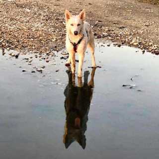 Elisa Zanfretta photo