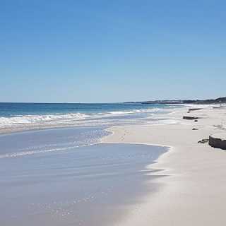 David Wolsoncroft photo