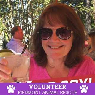 Linda Murphy-Cook photo