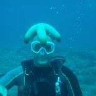 Andrea Brugnoli photo