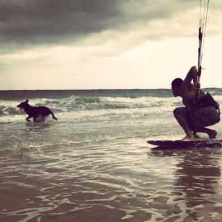 Lance Horowitz photo