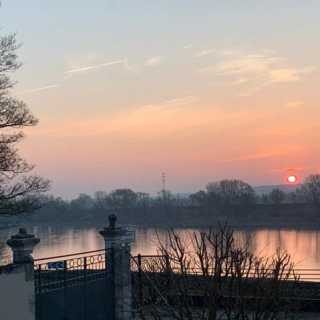 Laurent Dupont photo