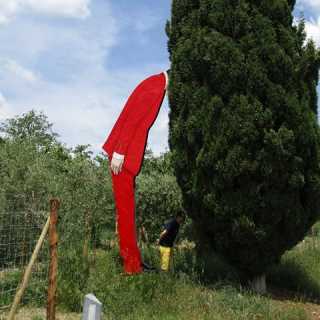 Maurizio Cinzano photo