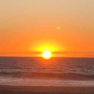 Manuel Bernardo photo