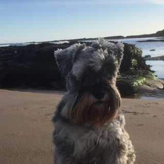 Janet Harris-Bell photo