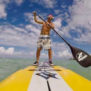 Michel Schaffner photo