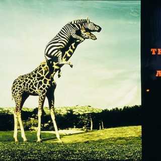 Simone Gislimberti photo