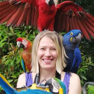 Stefanie Bischoff photo