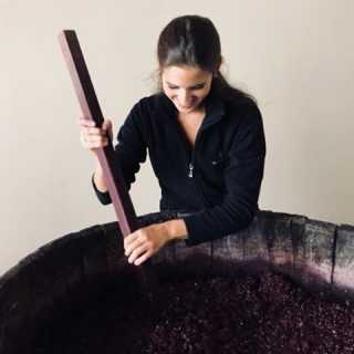 Chiara Condello photo