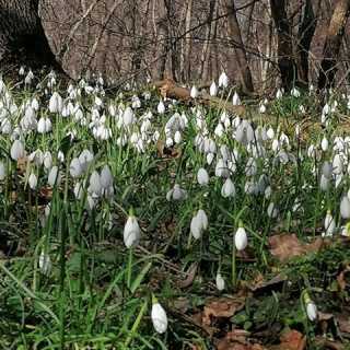 Chirita Valeriu photo