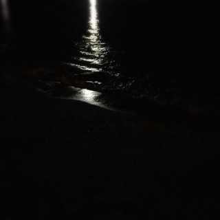 Gioni Grinov photo