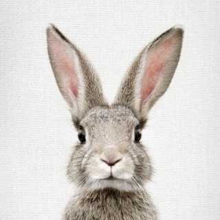 Trcia Abbott-Walters