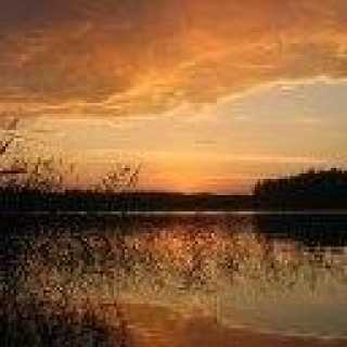 Marissa Sjblom photo