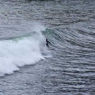 Lorenzo Scotti photo