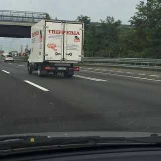 Matteo Bellocchio photo