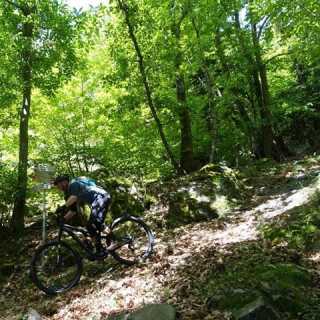 Daniel Fanconi photo