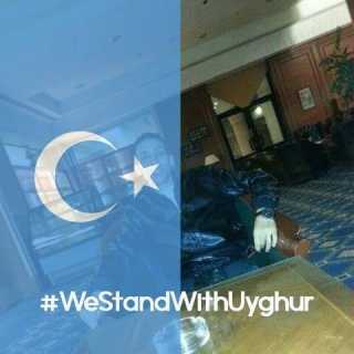 Ahmed Bassiouny photo