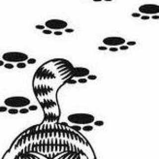 Michelle Hughes photo