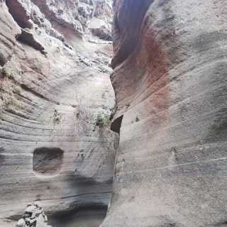 Francesco Bove photo