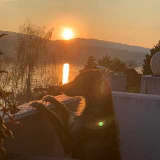 Ivana Rudonjic photo