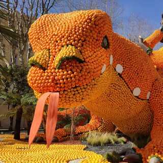 Ирина Фещенко