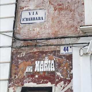 Barbara Rohmann photo