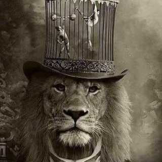 Manuel Cournot photo