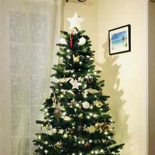 Madhuchhanda Banerji photo