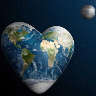 Vasile Crisbasan photo