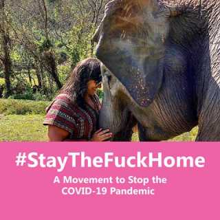 Andreia Pestana photo