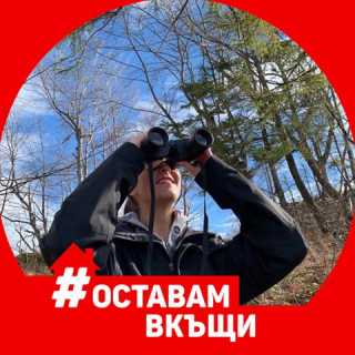 MariyaNikolova_3318d avatar