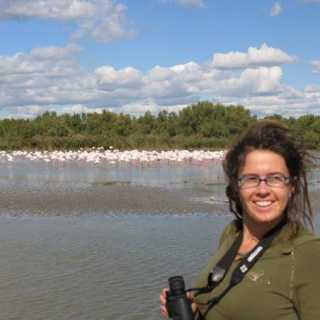 Angie Stringer photo