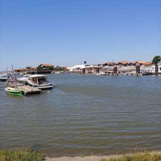 Priscille Pradal photo