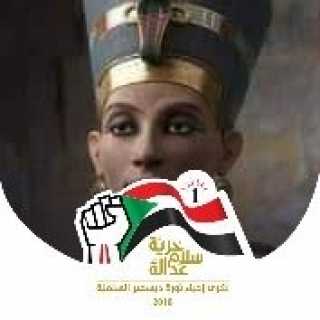 SaadiaElsirSalih avatar