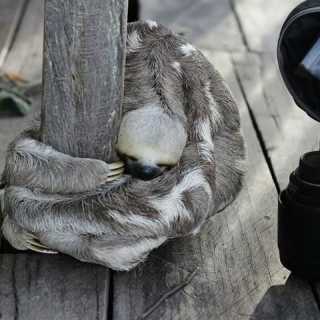 Olivier Vinadia photo