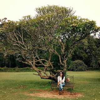 Ana-Paulina Reyes photo