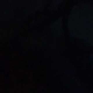 So-Soon Tellings photo