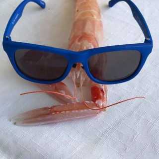 Christopher Hughes photo