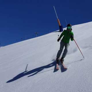 Diana Franco-da-Silva photo