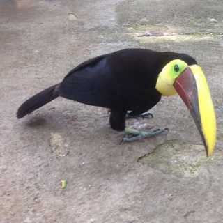 Robyn Cuscadden photo