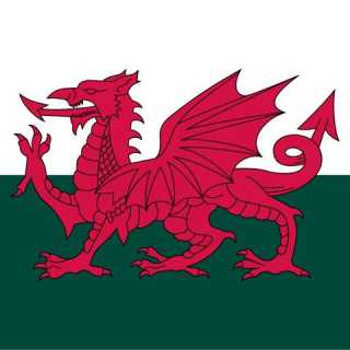 Richard Phillips photo