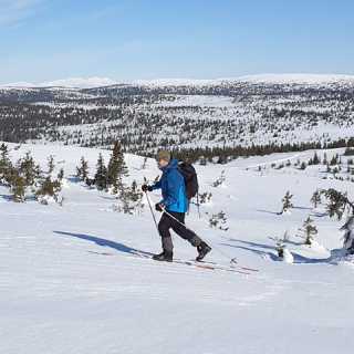 Geir Mikkelsen photo