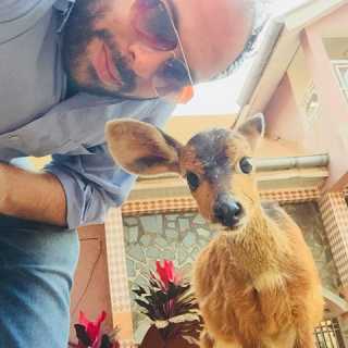 Abdullah Zeitoun photo