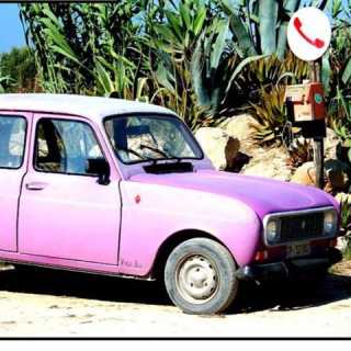 Paola Fumagalli photo